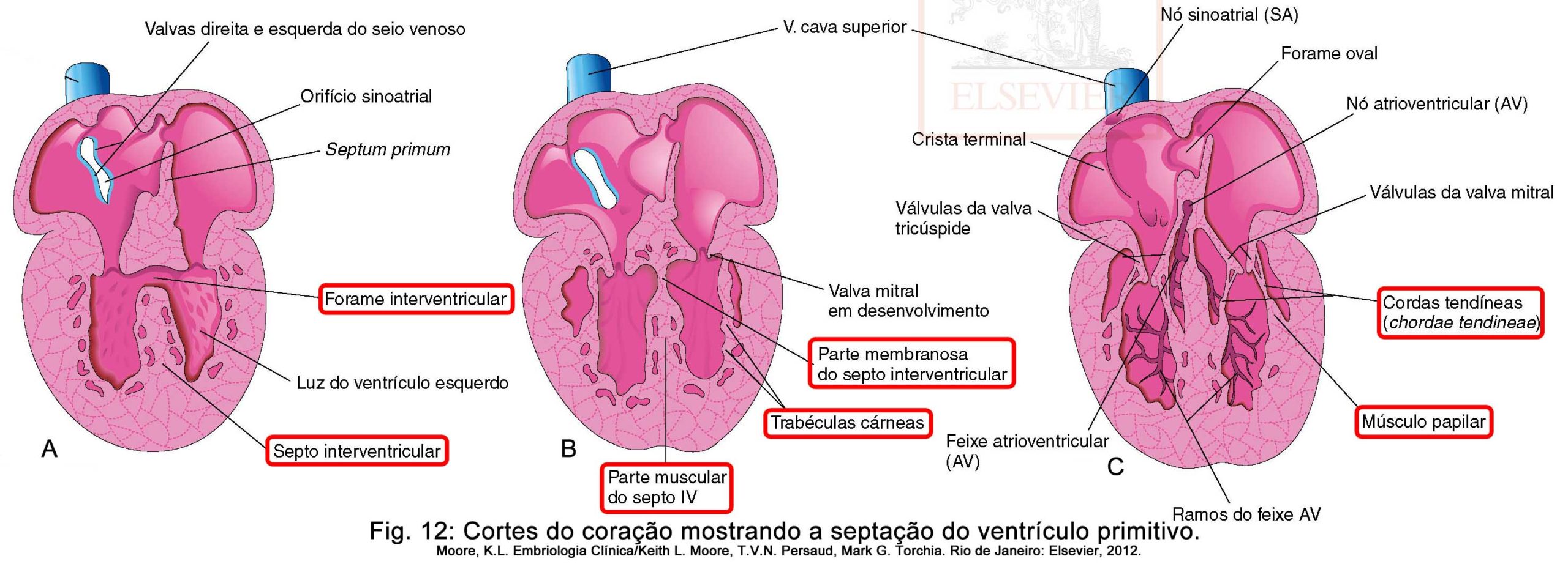 Corações Em Fase Terminal - umlivro