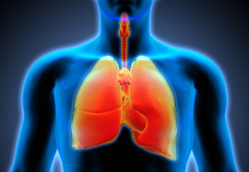 Cap. 10 – Sistema Respiratório